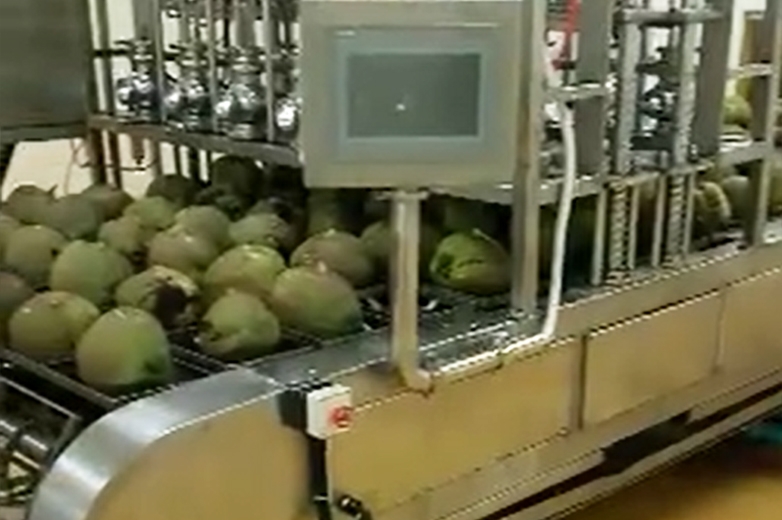 泰国椰子加工生产线