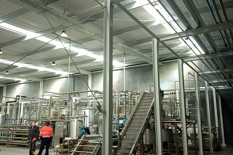 新西兰猕猴桃果汁加工生产线