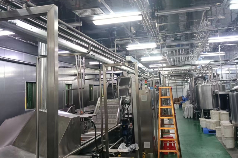 海南芒果浆加工生产线