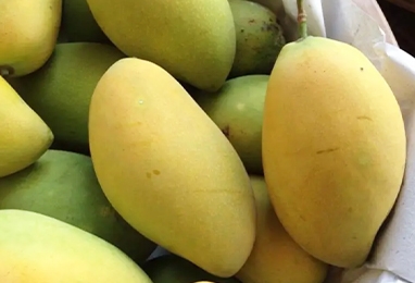 芒果加工生产线