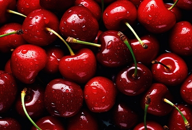 樱桃加工生产线