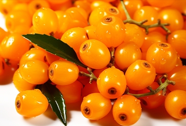 沙棘加工生产线