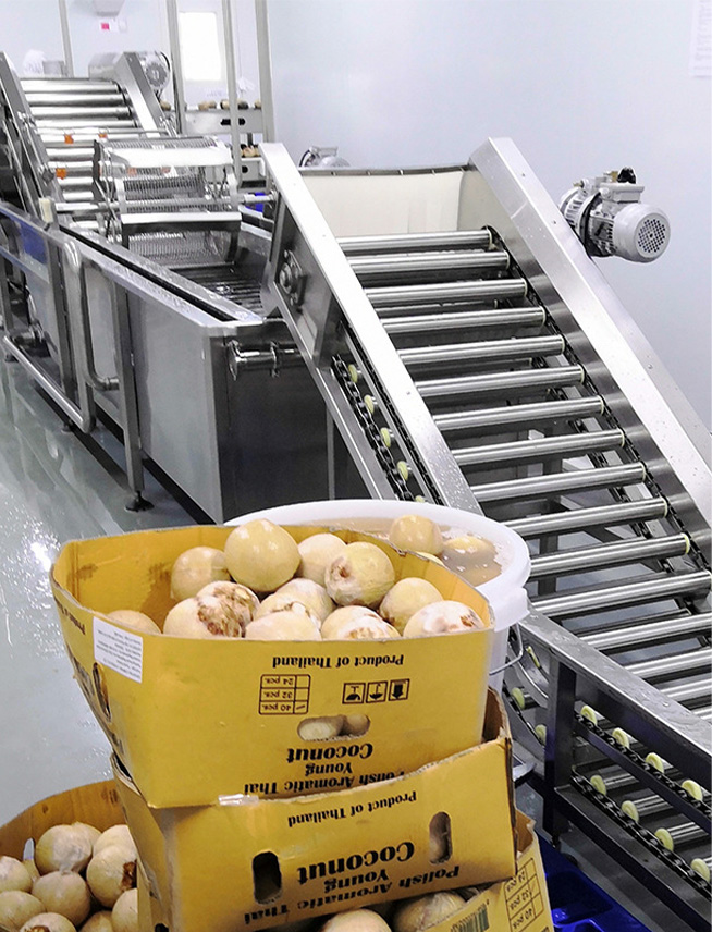 椰子加工设备生产线