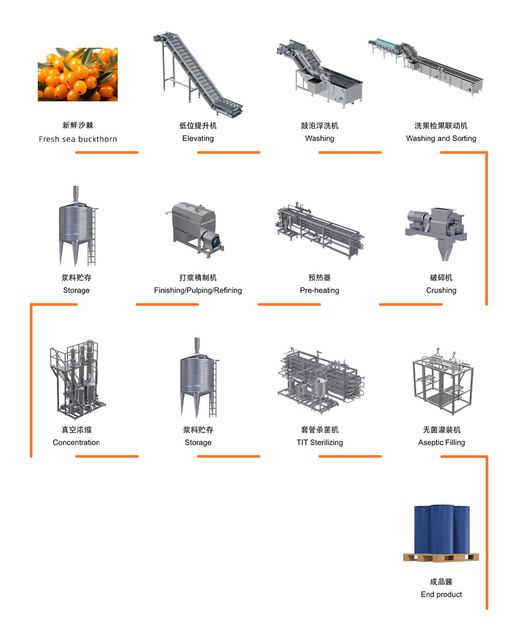 1699249642773808.jpg 沙棘流程图.jpg